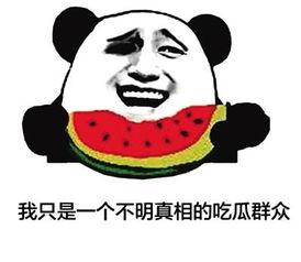 吃瓜群众是什么意思网络用语,吃瓜群众的内涵与演变